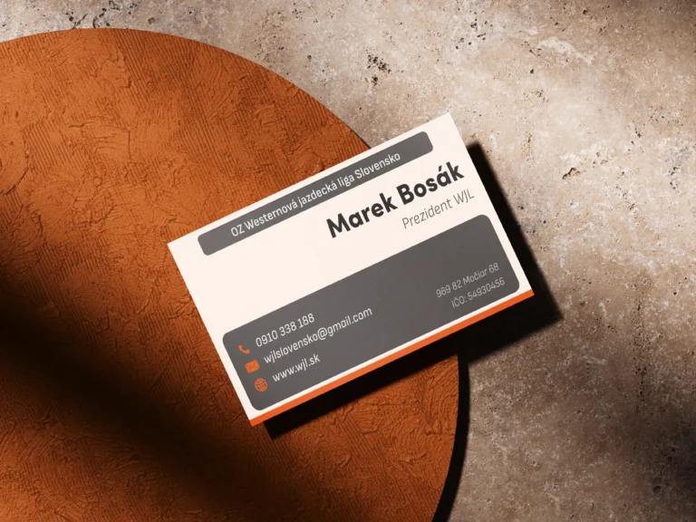 Business_Card_Mockup_1 copy 2