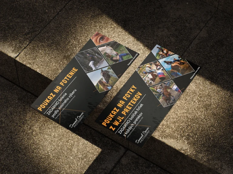 DL_Flyer_Mockup_4 copy